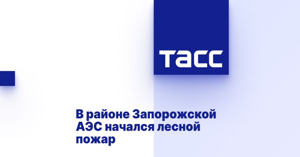 � ������ ����������� ��� ������� ������ �����