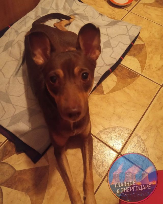 � ���������� ����� ������������ ������, ���������� ������� � ������� ���� �������!