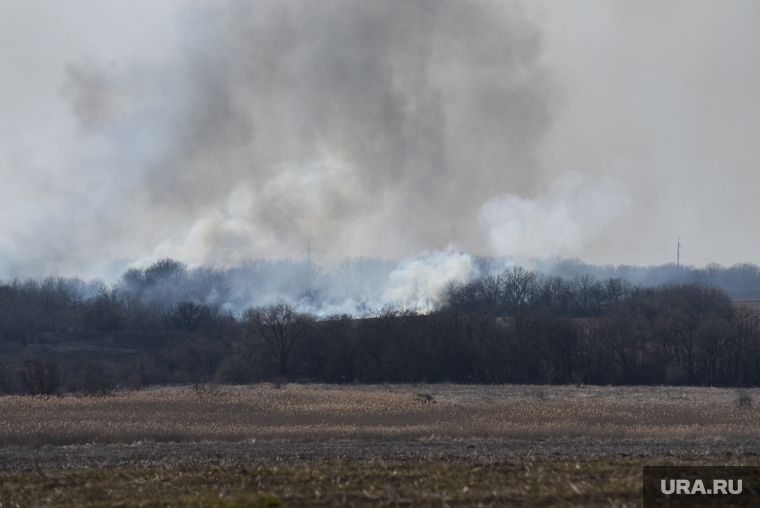 � ���������� ���������� ������, � ������� ���������� ���� �����. ������� � ������ 29 �������