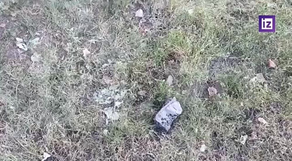 ������� ��� ��������� 14 �������� �� �������-�����������