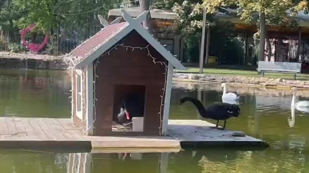 ������ ������ � ����� �������� ���� �������