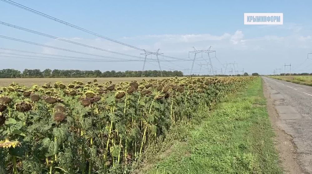 ���������� ����������� �������� ������� �� ���������� ����������� ���. ������� ��� ����������� ����� �� ������� ���. �� ����� � ����� ���, �������, ��������, �������������� �������������� � ������� ������