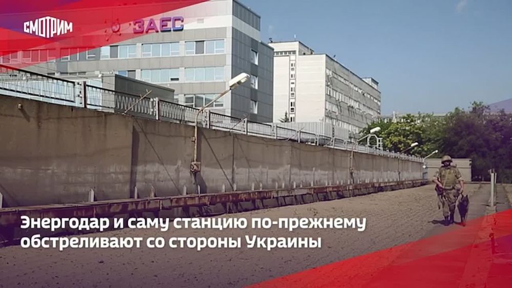 �������� ����� ������ � ���������� �������� ����� ���: