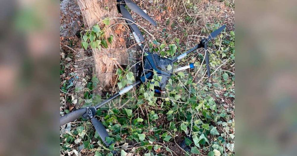 ������� �� ����� ������� ���� ��� � ������ ����������� ���