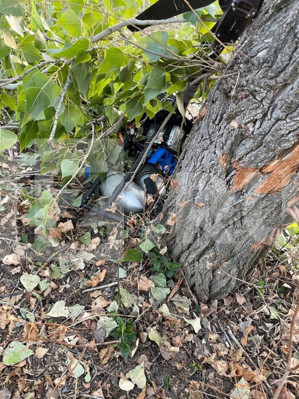 ���������� ������� ����� ������� ����������� ��� � ������ ����������� ���. ������������� "��������" ����� ��������� ��������� ������� � ���, �� ������� �������� "������ ��������"