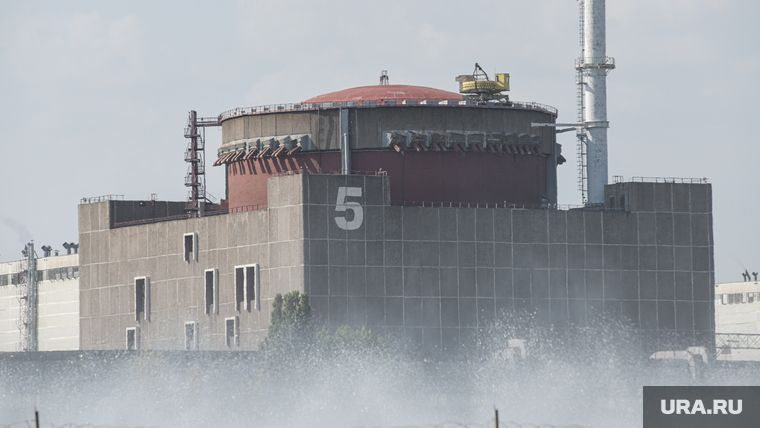 �����: ���, ������ ����� �� ����, ���������� ������� �����������