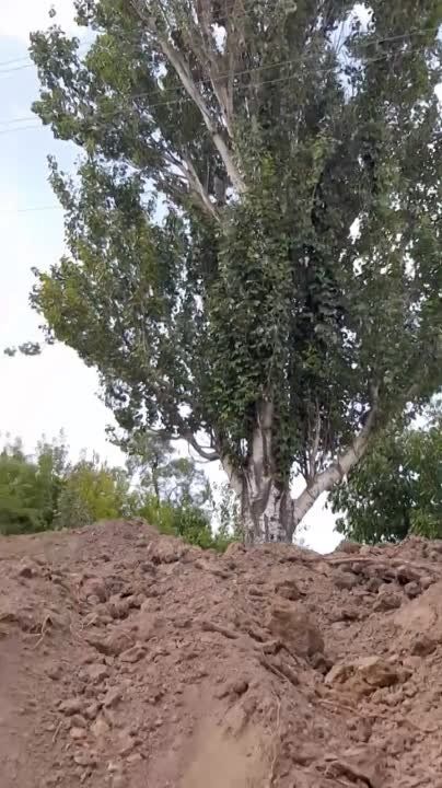 ����������� �������� � ��� ��� �������� ������ ���� ���������