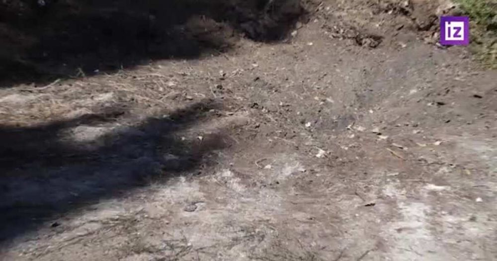 ����� ����������� �������� ��� �������-�����������