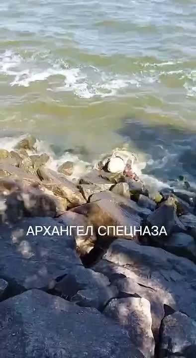 � ���� ���������� �����, ��� ������������, � ��������� ������������� �������� ��� � ��������