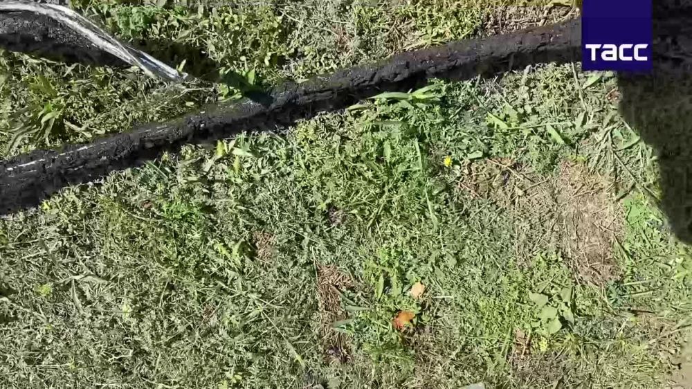 �������-����������� � ����������� ������� 5 �������� ������� ��� ���� �� ����� ������� ��������� �� ������� ��� �� ��������� �����, �������� ��� �������������