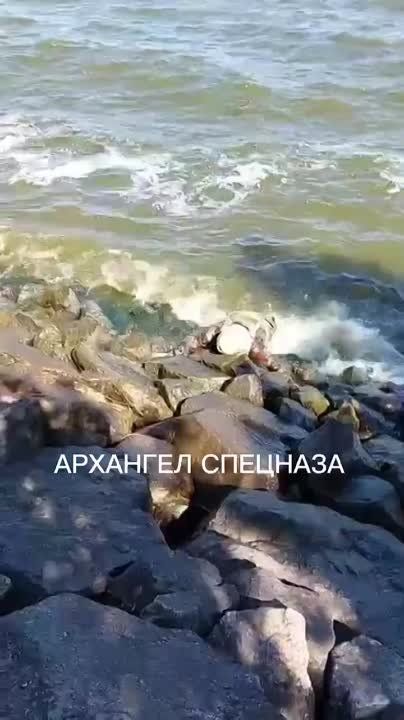 �� ������ ��������, ������ ������ ������ � ���������, ��������� ������� ����������, �������� ���������� ������ �� ������