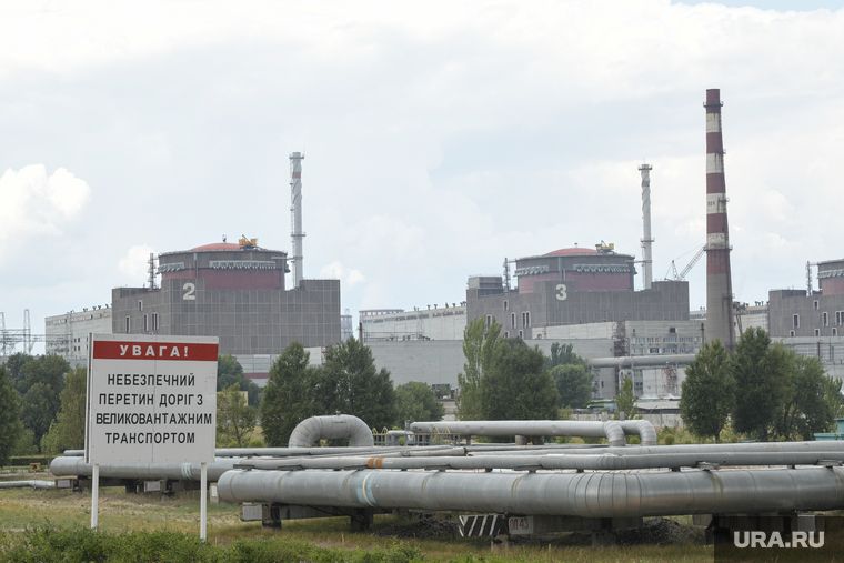 ������ ���������� ���������� �������� ����������� ��� ������