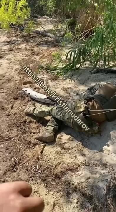 ����� �����: ������� ����� � ������� "����� ������� ��� �����������"