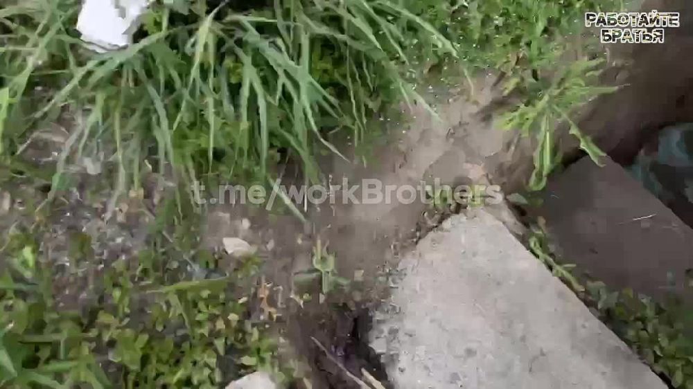 �������� �����: ���������� ���������� ������� ���� �� ������ ����� �� ��� � ����������