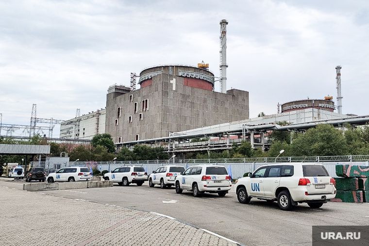 ������ ���������: ���������� ����� �������� ���� ��������