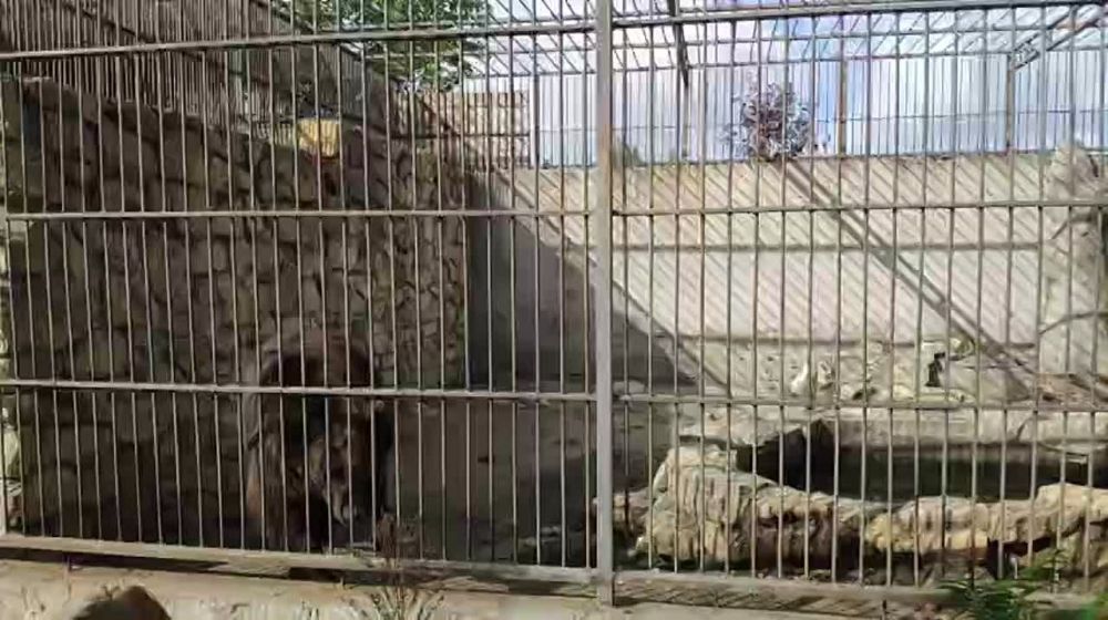 ������ ��������: ��� ������� ���� �� 2014 ���� �� ���� �������� ��������� ��������� �������