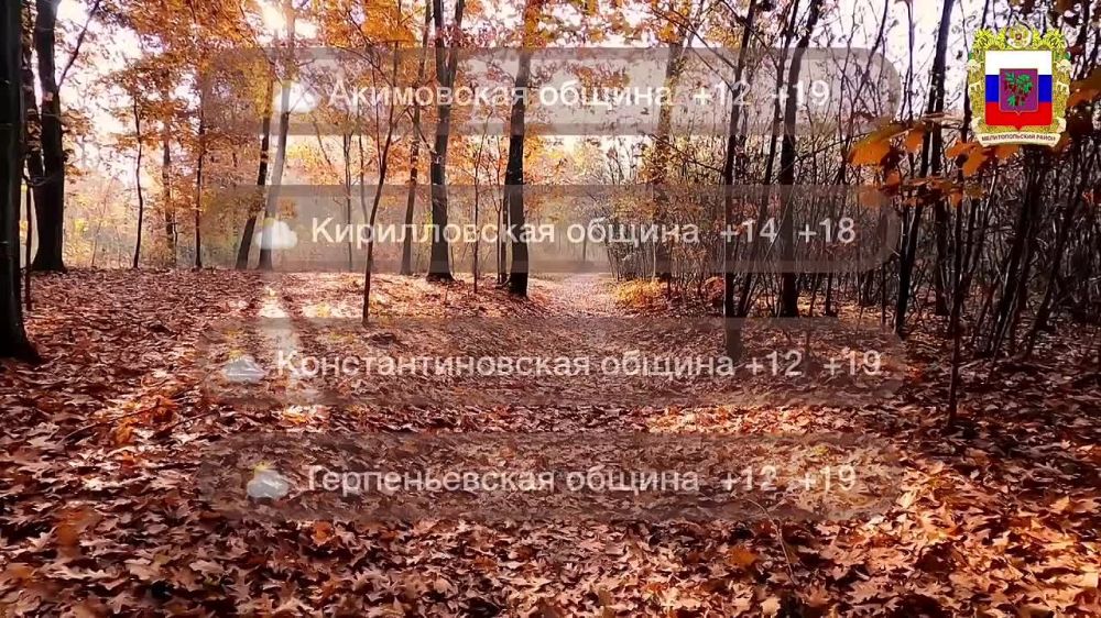 ������� ������ �� 13 ��������