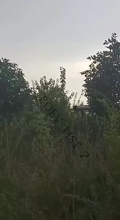 ����� �� �� ��������� ���� ������� � ����������� �������