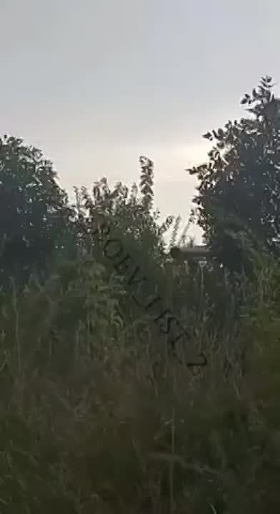 ���������� ������� �������� �� ���� "������" �� ��� � ����������� �������