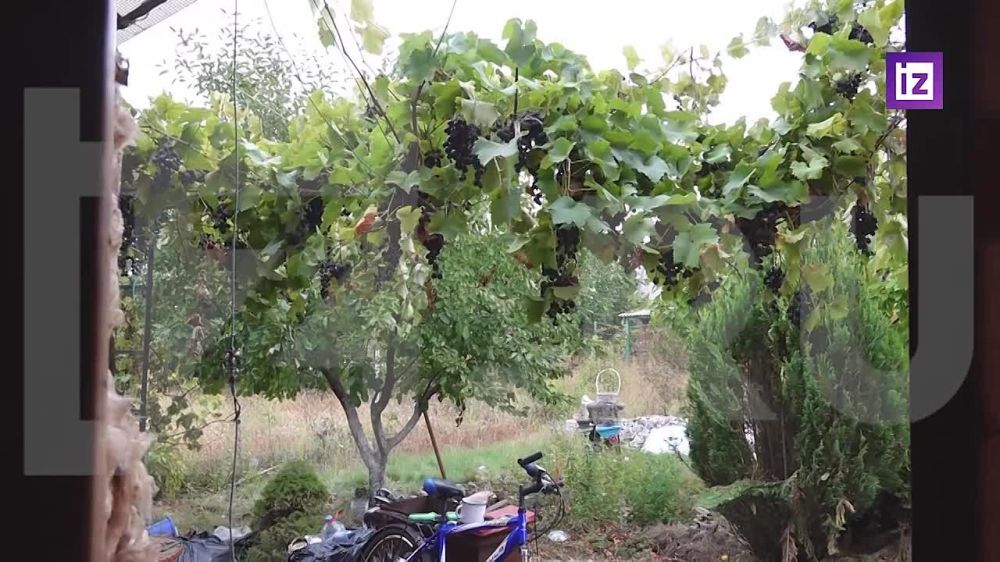 ������������� "��������" ����� ��������� ������ ������ ������ ������ ���������������� ��������� ��������� "�������" � ����������� �������