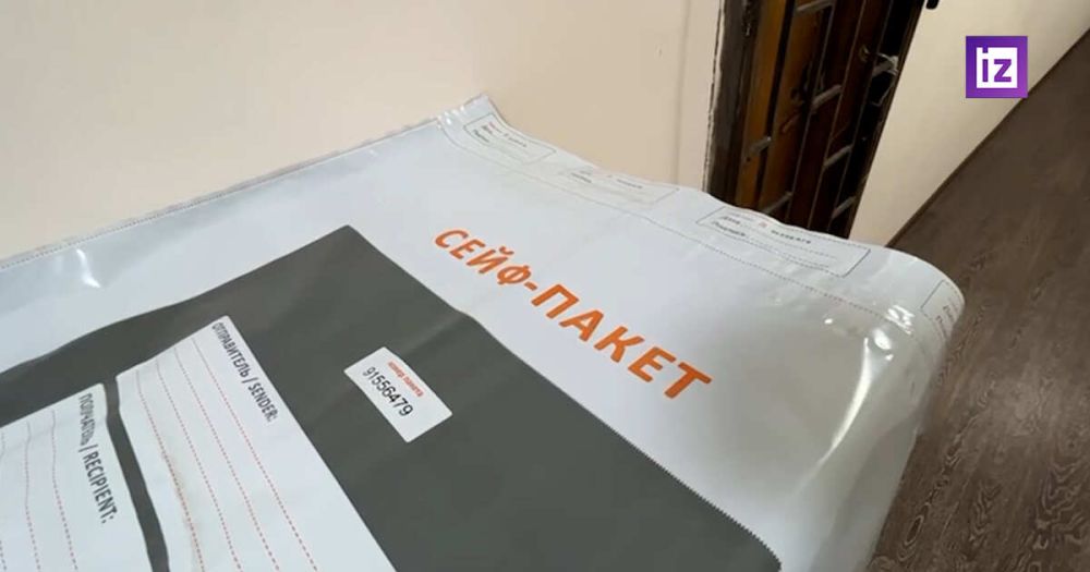 В ДНР рассказали, как будет проходить голосование на референдуме