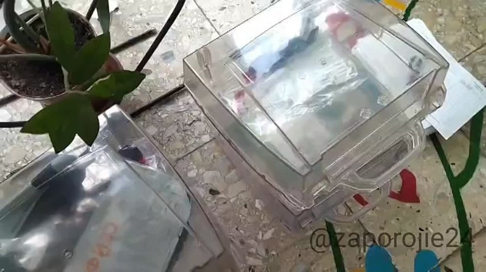 ������ ������ ������������� �������� � ����� �������
