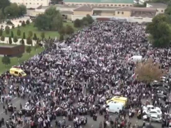 В Чечне референдум на Донбассе поддержали более 50 тысяч человек