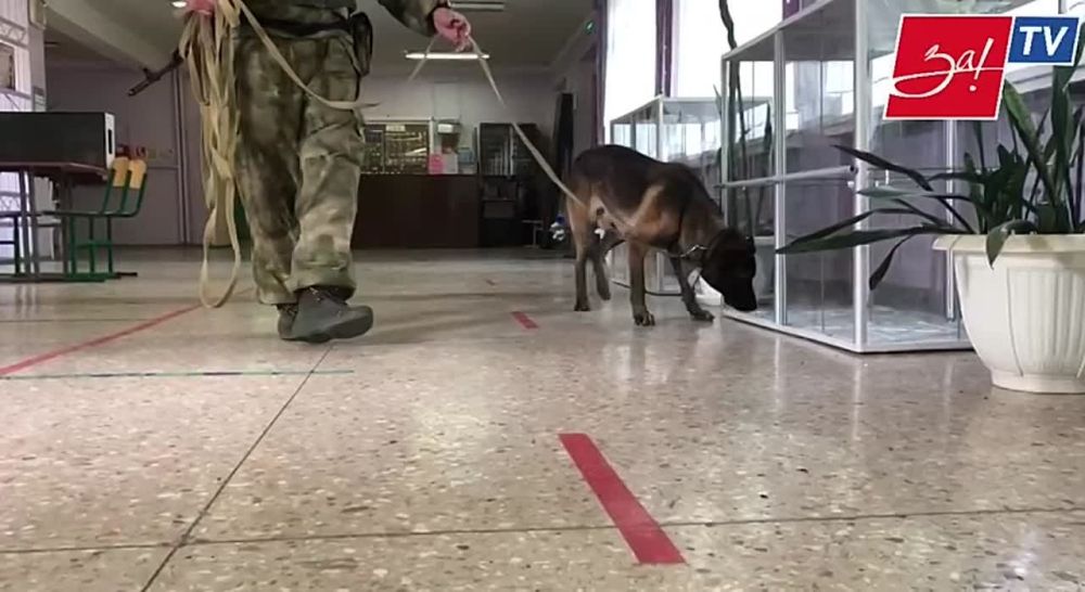 � ������ ���������� ���������� �������� ����������� �� ����������� ������������ �� ����� �����������