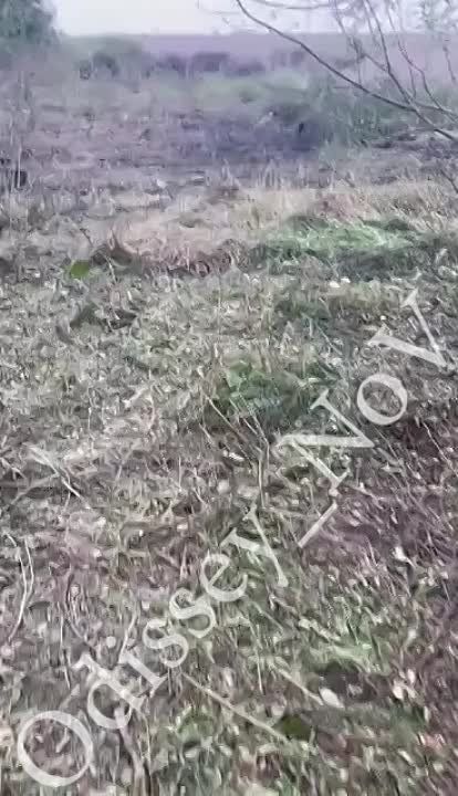����������� ��������� ������� ����������� ���������� ����� � ������ ����������� ������ ���������� ����������� �������
