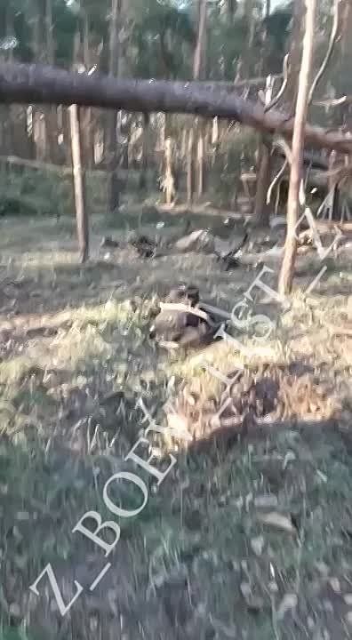 �� �� ������� �� ����������� ����� ���������� ������������ � ���������