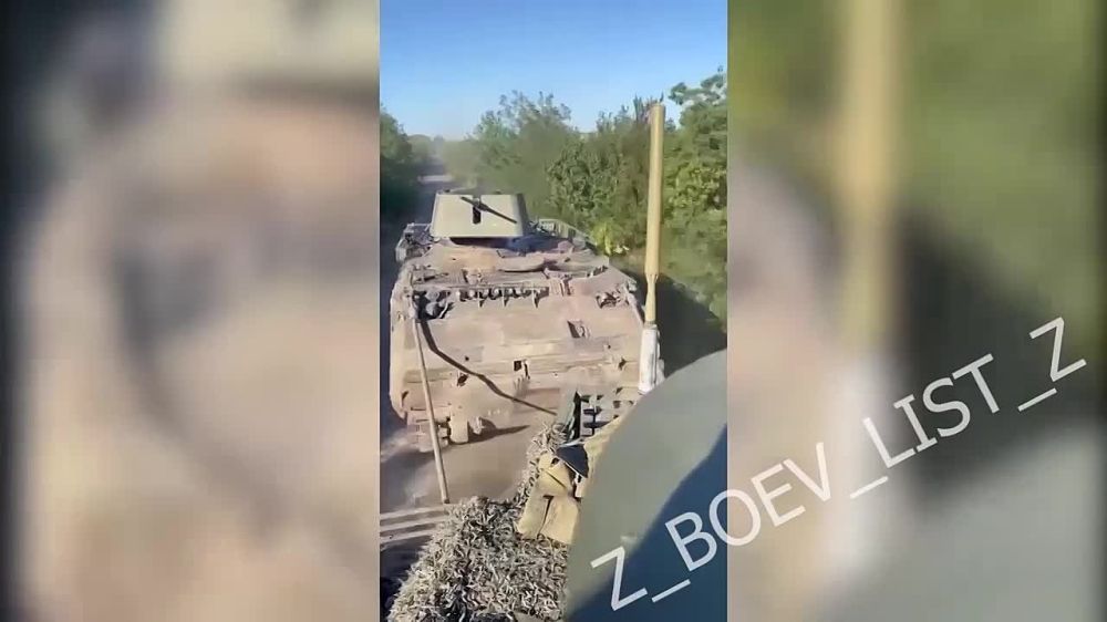 ����� ���������� ���������� ��� �113 ������������� ������������ ������ �������
