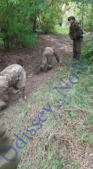 � ��� ��� ������� � ����� �� �������� �� ����������� �����������