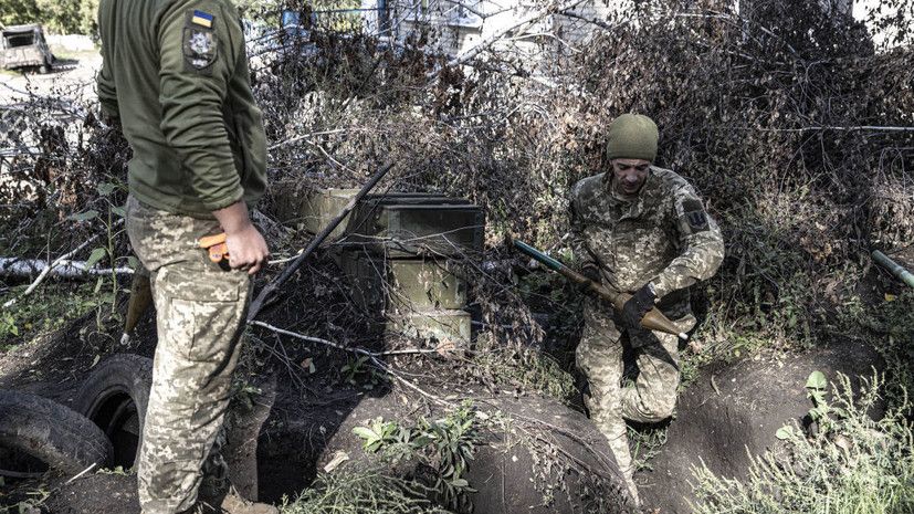 ��� ���������� ����� �������� ���������� � ����������� � ������� �������������� ����������