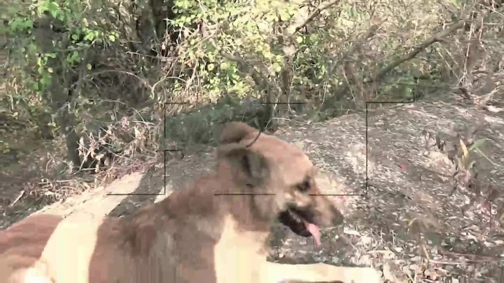 ����� ����� RT ���� �������� @vasyunin � �������������� ������ � ��������� � � �� �������������� ����������� �����������, ��� ������������� ���� ���