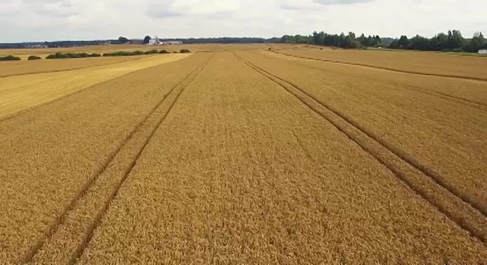 ������ ��� �����! �� ������! �� - ���� �����!