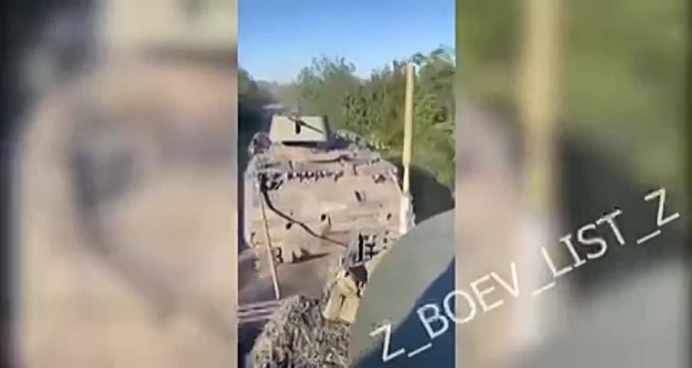 ����� ���������� ���������� ��� �113 ������������� ������������ ������ ������� � ����������� �������