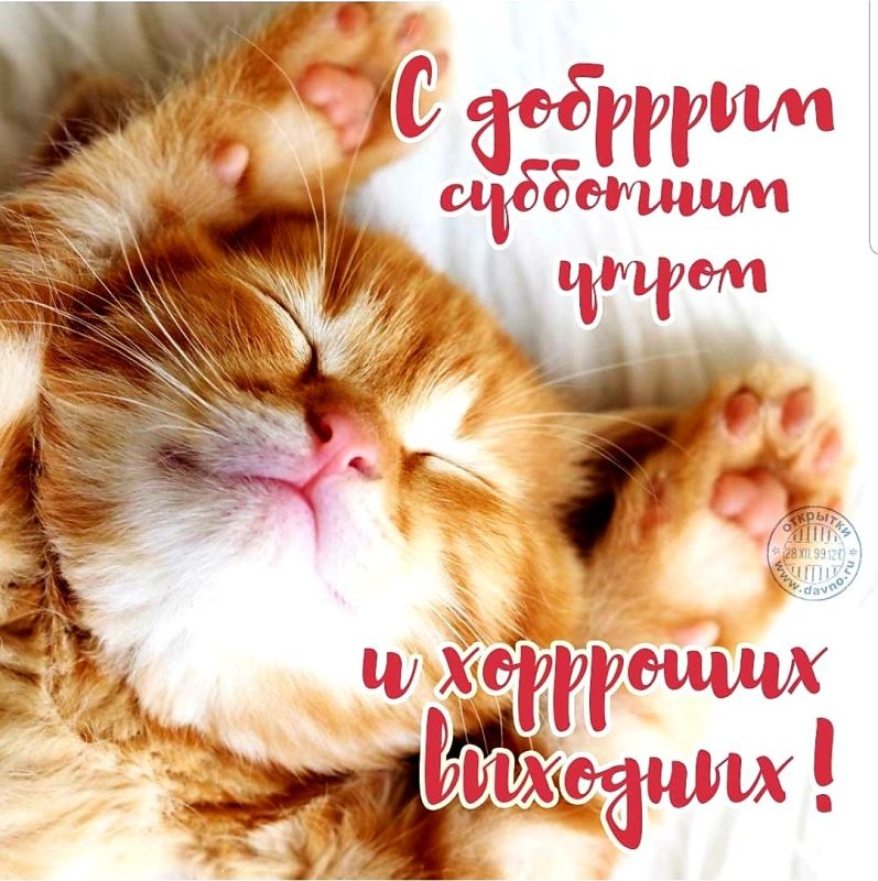 ��� ������������� ������ ������ ����� ��������� �������� ��������