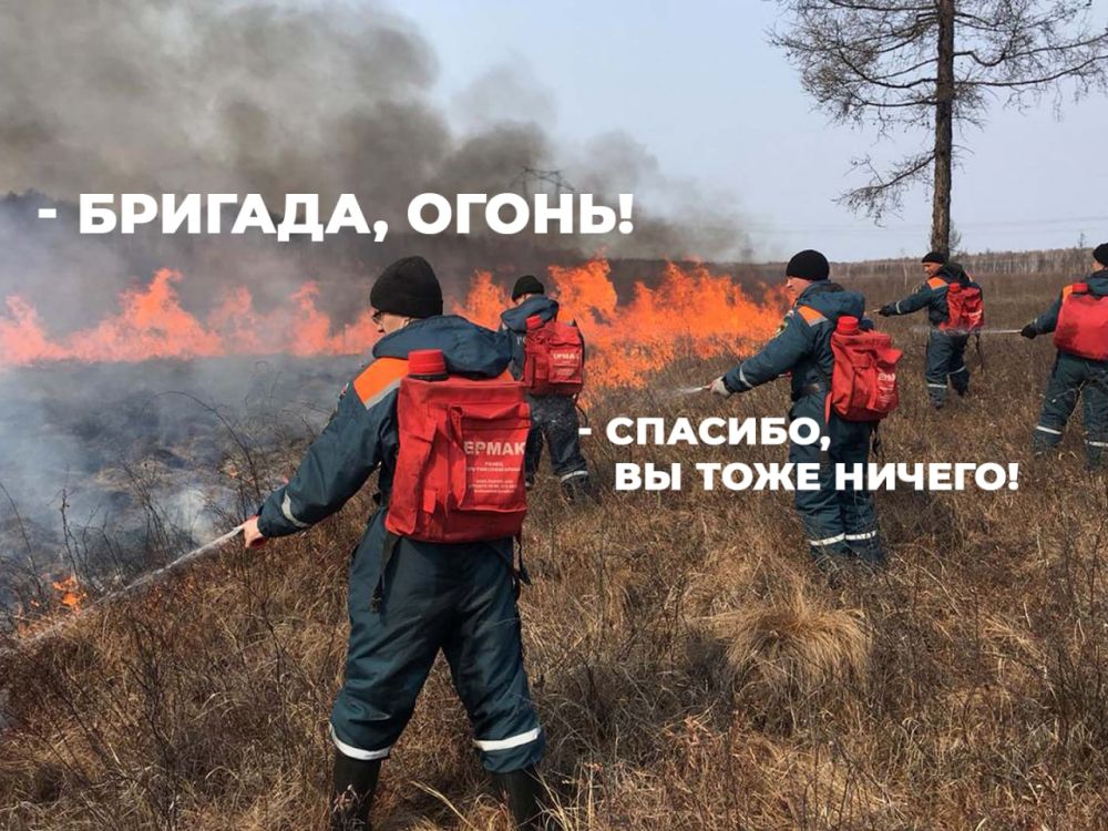 ����������� ���� � ������� ���������� �� ������ ���� ������ � �� ZO!