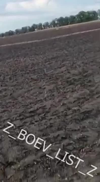 �������� ������ ����� ���������� �� ����������� �����������