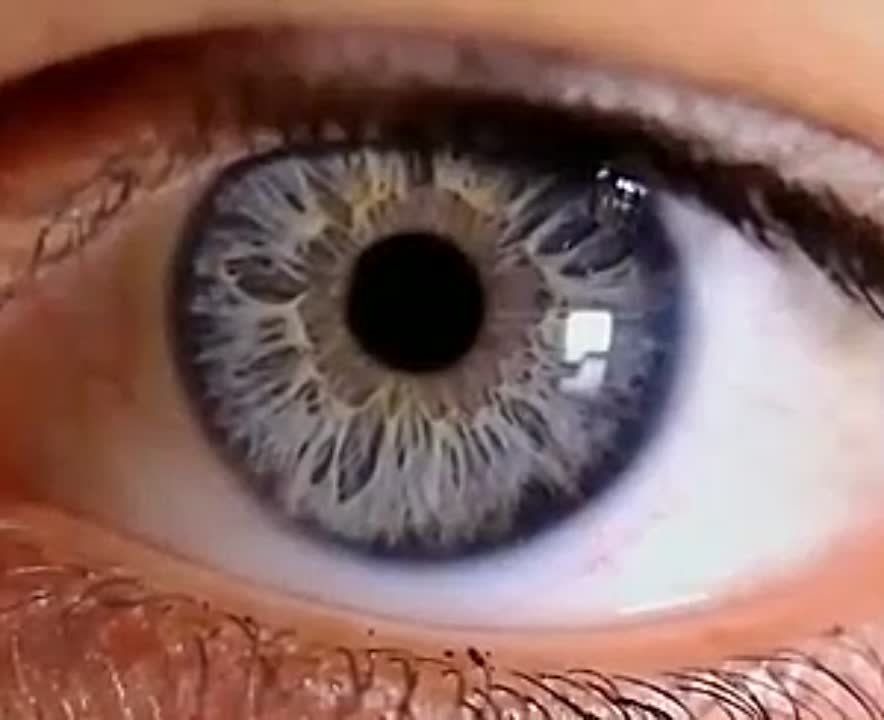 ������� ����������� ������