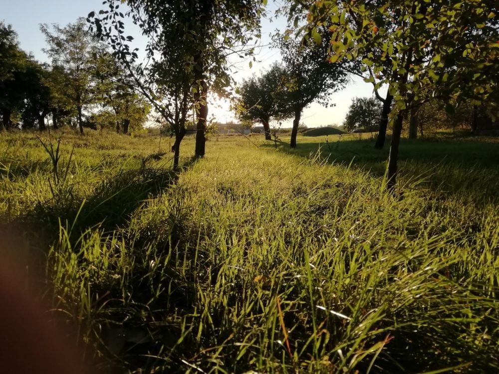 ������� ������ �� 6 �������