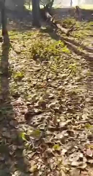 �������� �����: ����������� ������ � ���������