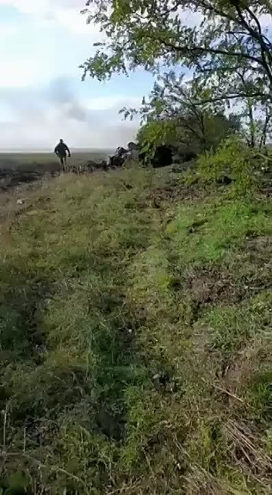 ��������� ���������� ����������� ���������� ������� �� ������� �� �� � ����������� �������