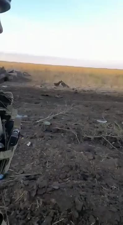 ����� ������ ���������� ������� ������� ��� � ����������� �������