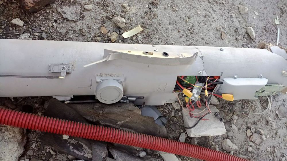 ������ ��������: ��� ������� ������-���������, ������ ���� ����� ��� �����������