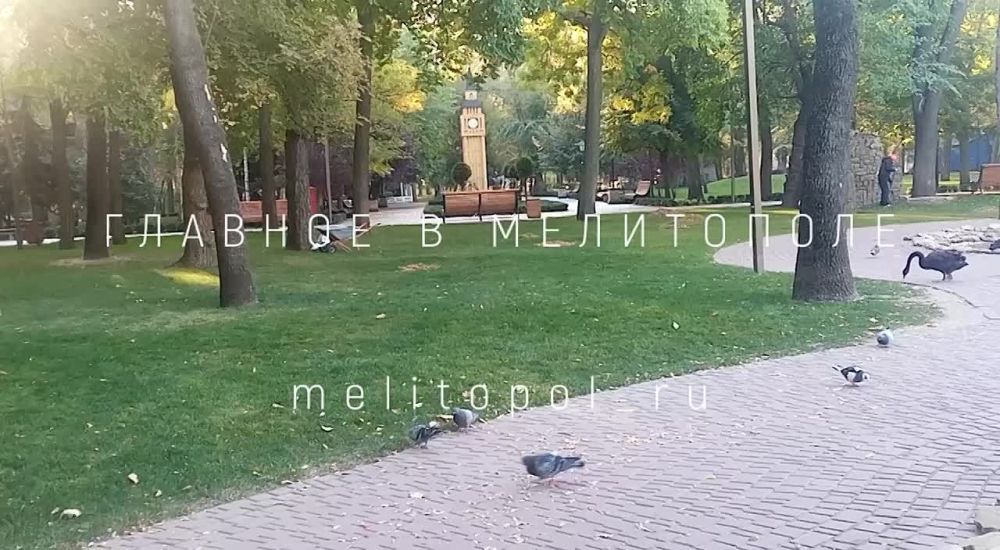 � ���������� ����� ������ ������ ����