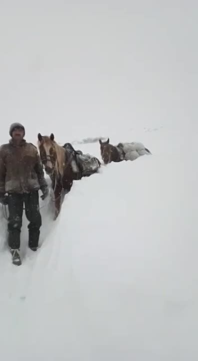 � ��� �������� �� �����....)))