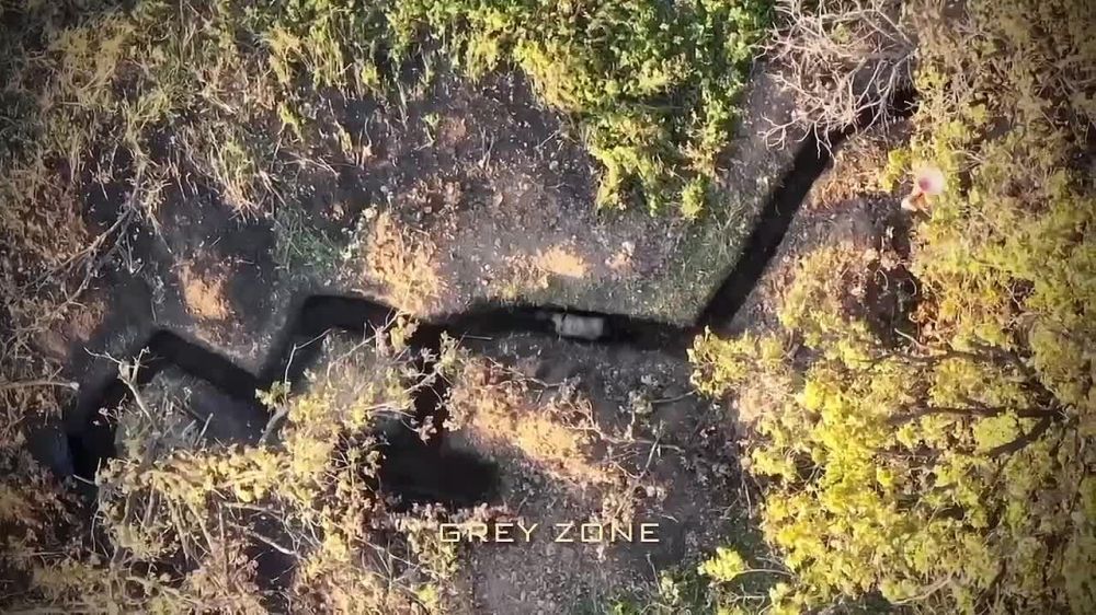 ���-�� �� ����������� �����������