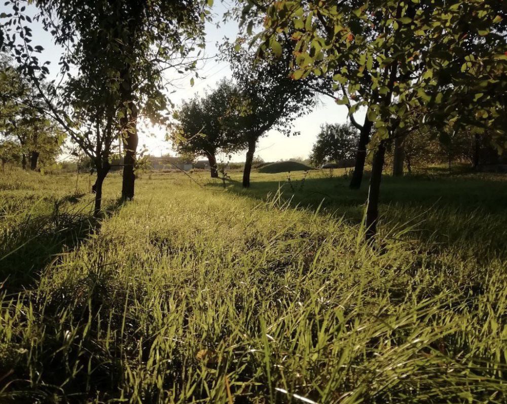 ������� ������ �� 29 �������