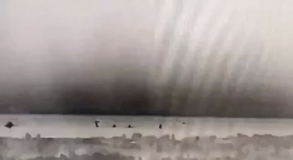 ���������� ������ �������� ����� ����������� ���������� �����������, ���������� ���������� � ����������